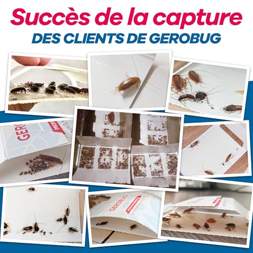 Detalle de Gerobug pièges à cafards, lot de 12