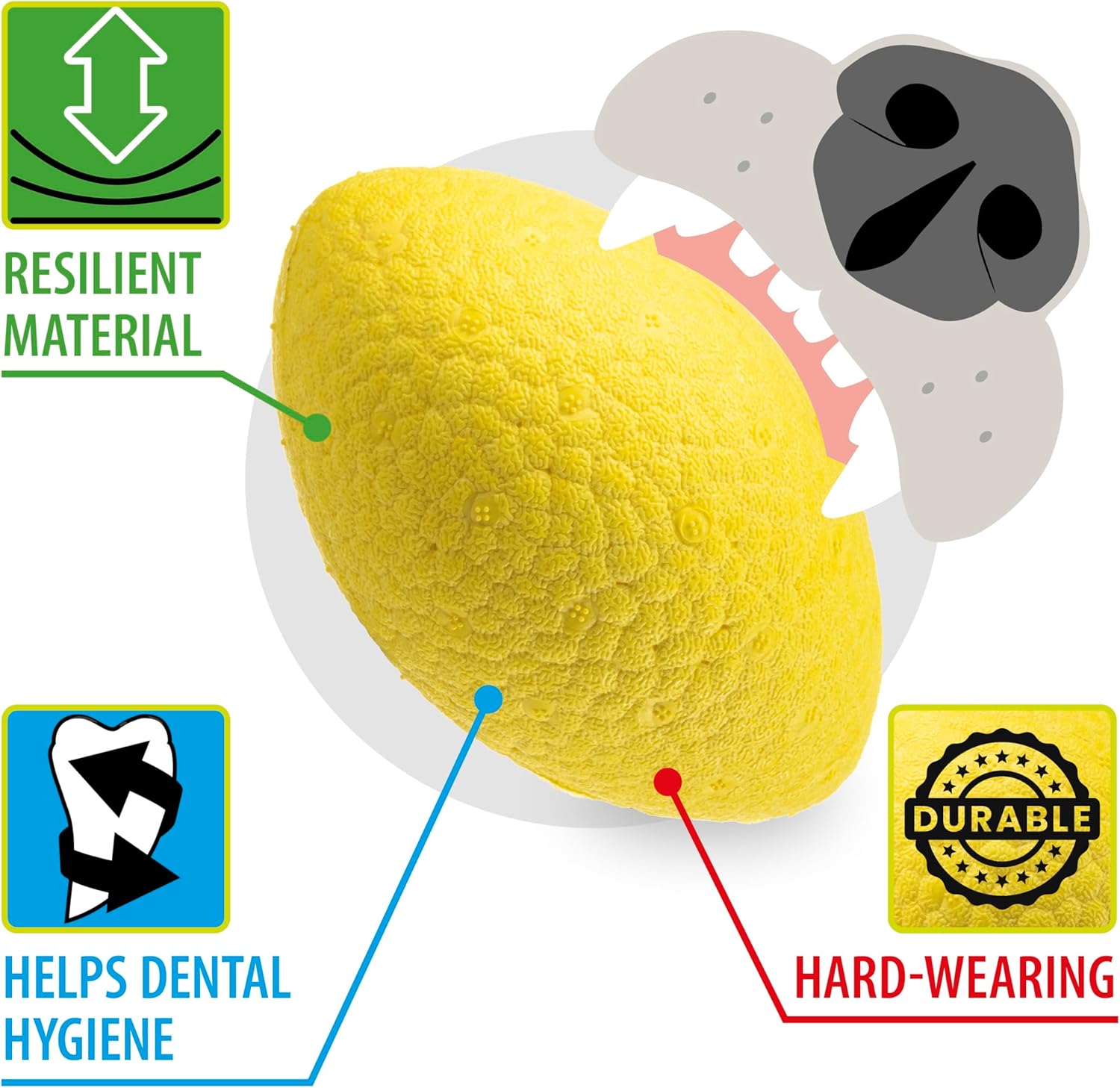 Thumbnail 2 de Ferplast CHEWA BOING RUGBY Size L dog toy