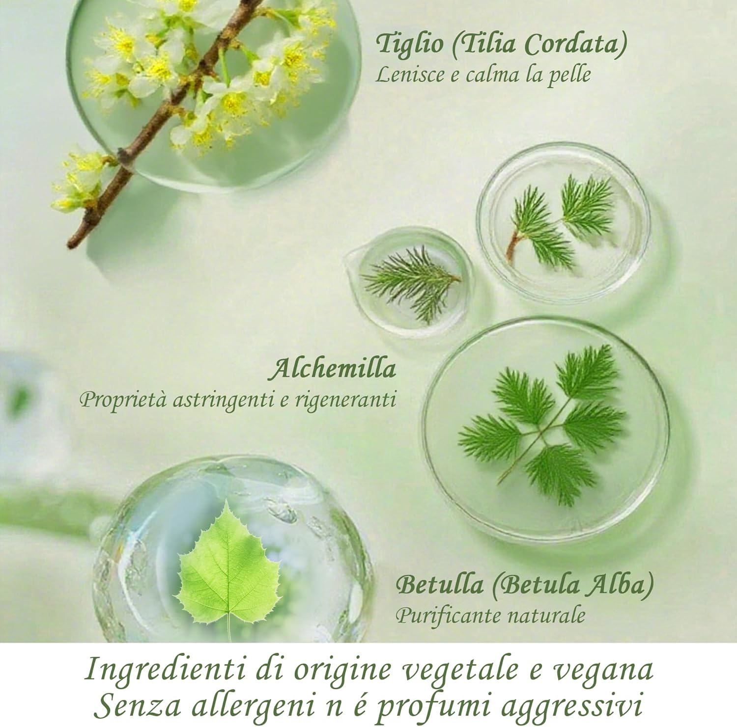 Thumbnail 2 de Aspand Shampoo Naturale Sensitive Delicato per cani adulti e cuccioli, senza profumo e coloranti, pH bilanciato – 250 ml