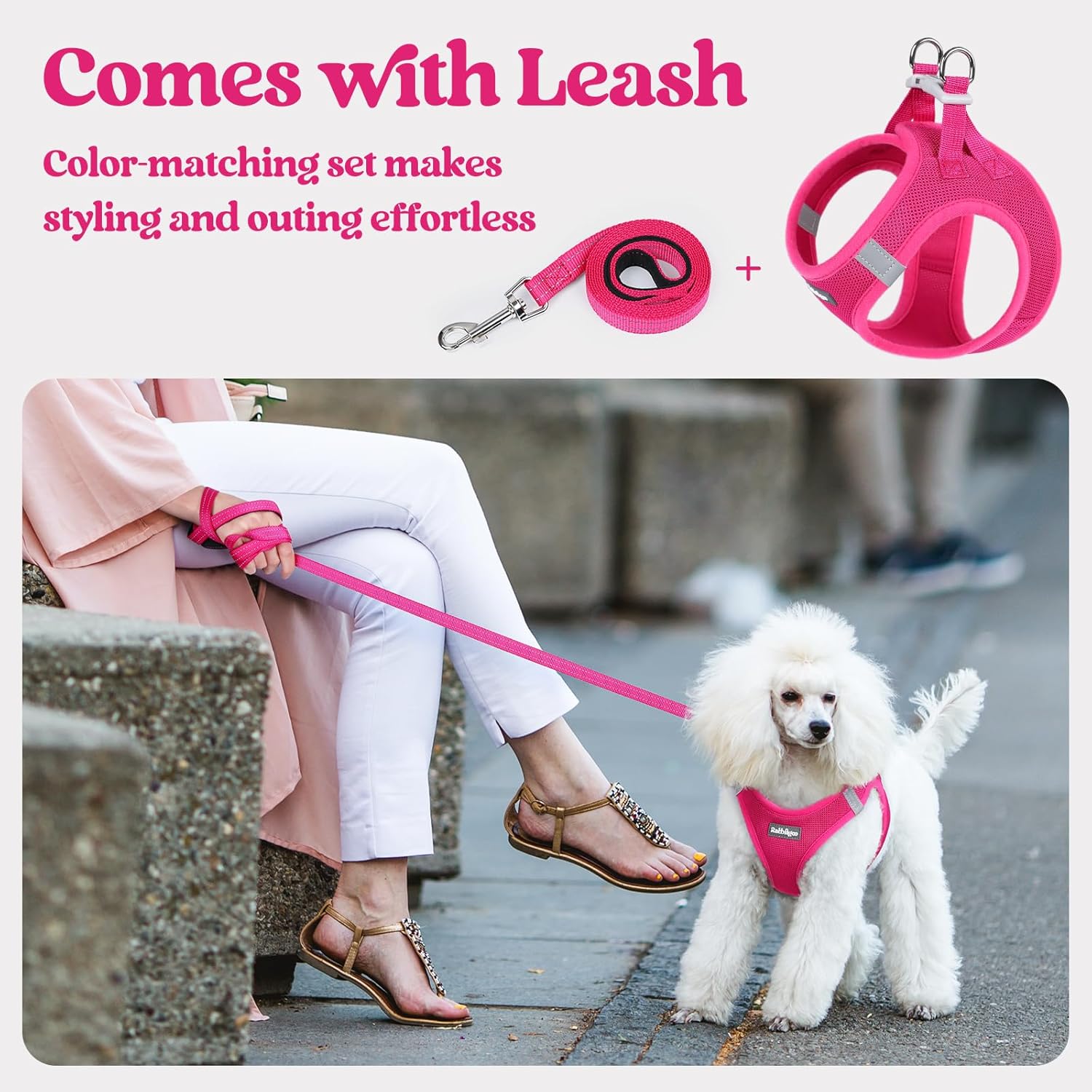 Thumbnail 5 de Rabbitgoo Small Dog Harness and Lead Set (XXS) – Step-in Soft Mesh, Pink