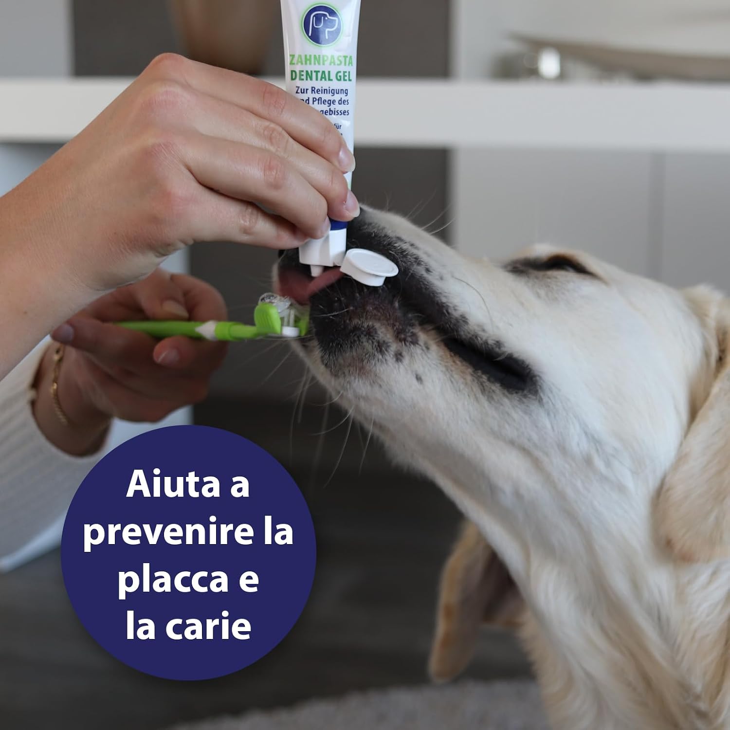 Detalle de Canosept dentifricio per cani 100g: pulizia denti cane e alito fresco, senza zuccheri, fluoro o xilitolo