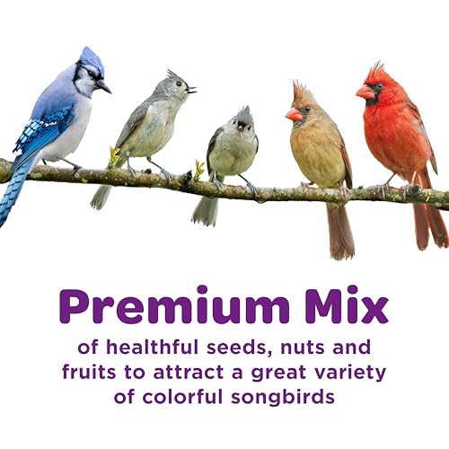 Detalle de Kaytee Nut & Fruit Wild Bird Seed, 5 lb: A Versatile Backyard Blend for Colorful Visitors