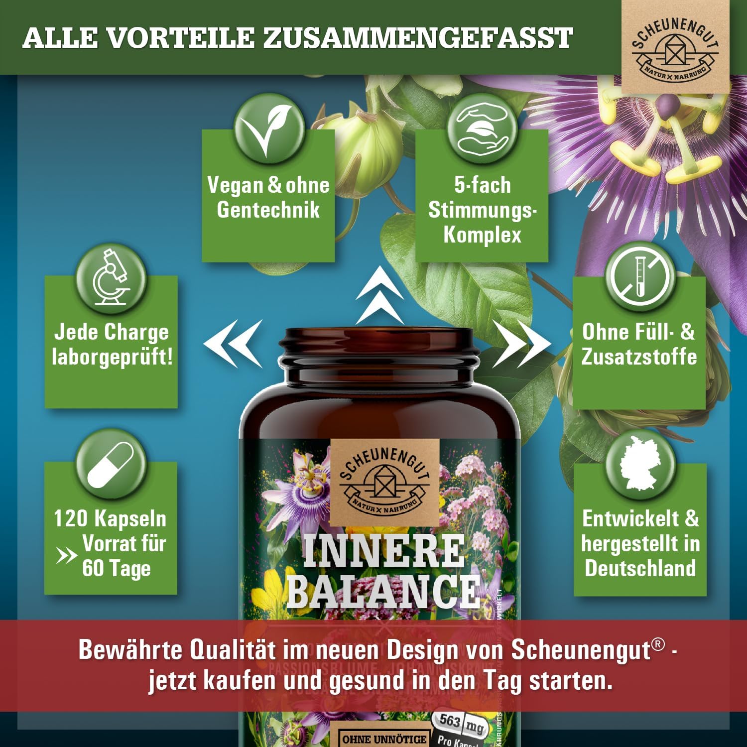Thumbnail 4 de INNERE BALANCE® Passionsblume Johanniskraut Baldrian Hochdosiert – Laborgeprüfter Markenkomplex mit Hypericin, Hyperforin, Folsäure & Vitamin B12 (120 Kapseln)