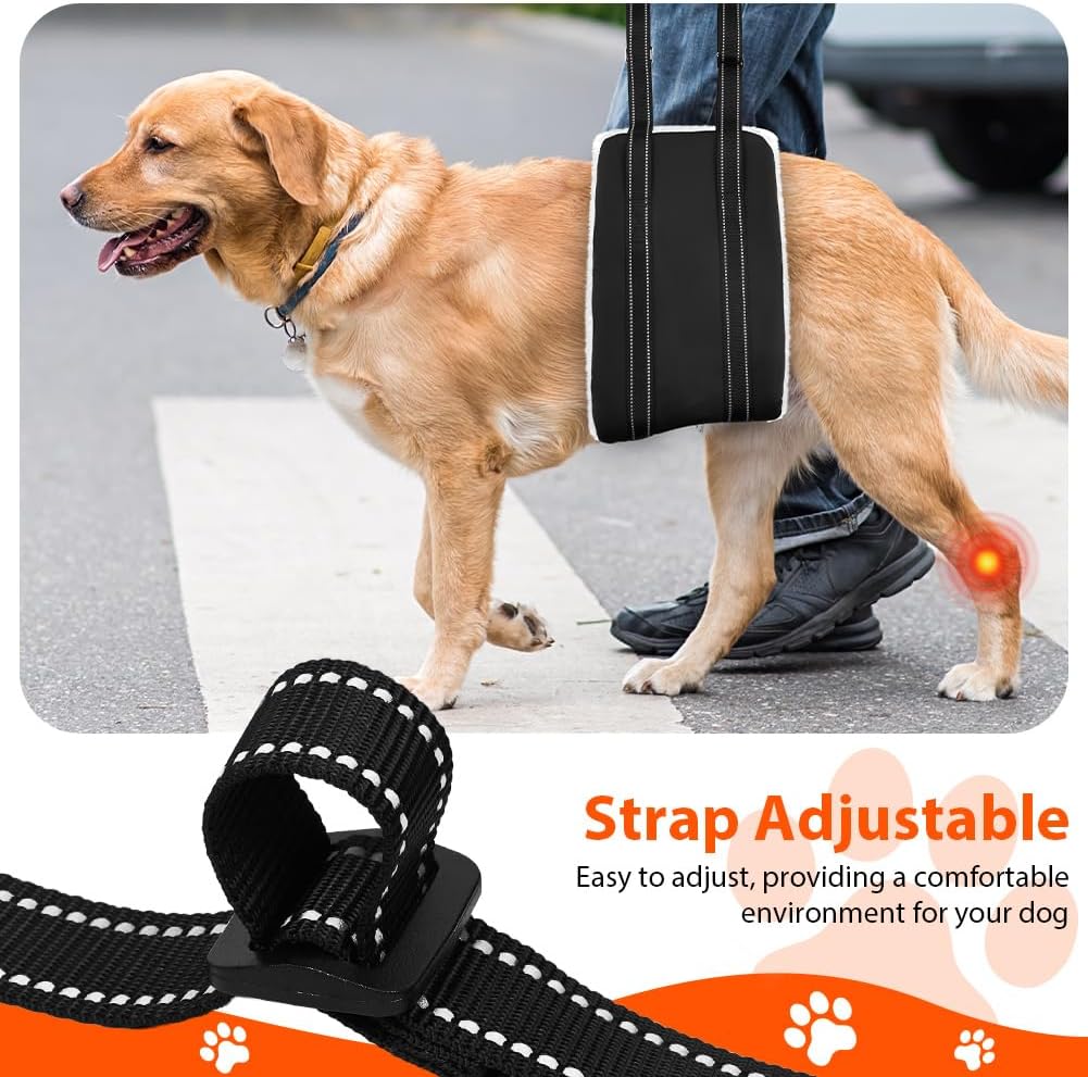 Thumbnail 5 de AOOHA Harnais pour chien handicapé réglable (aide à la marche) en cuir PU imperméable