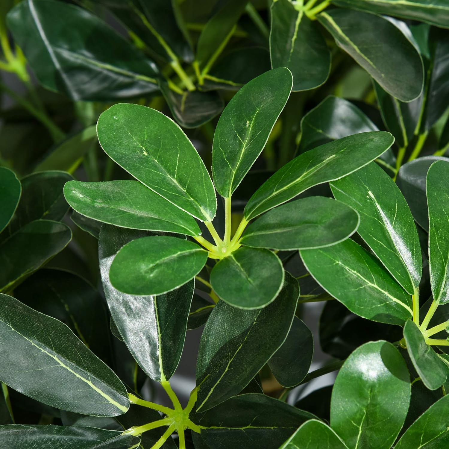 Thumbnail 4 de Outsunny Arbre Alstonia 1,20 m