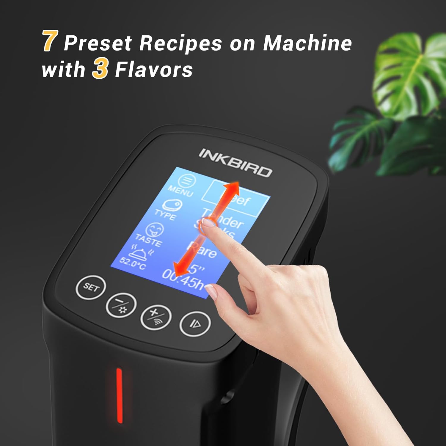 Detalle 2 de INKBIRD ISV-100W sous vide 1000W