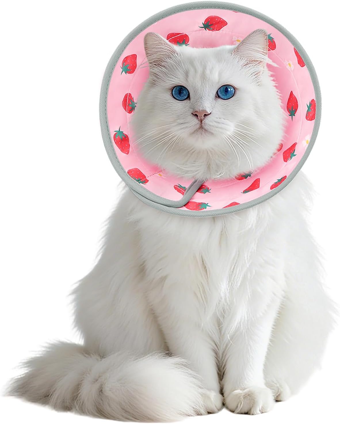 Detalle de Supet Adjustable Elizabethan Cat Cone Collar (Pink, M) for Post-Surgery Licking Prevention