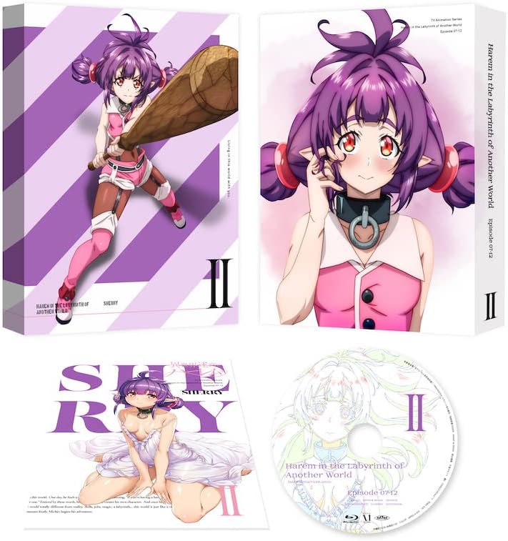 Detalle de 異世界迷宮でハーレムを Blu-ray BOX 下巻|描き下ろしBOX・OVA・特製ブックレット付き