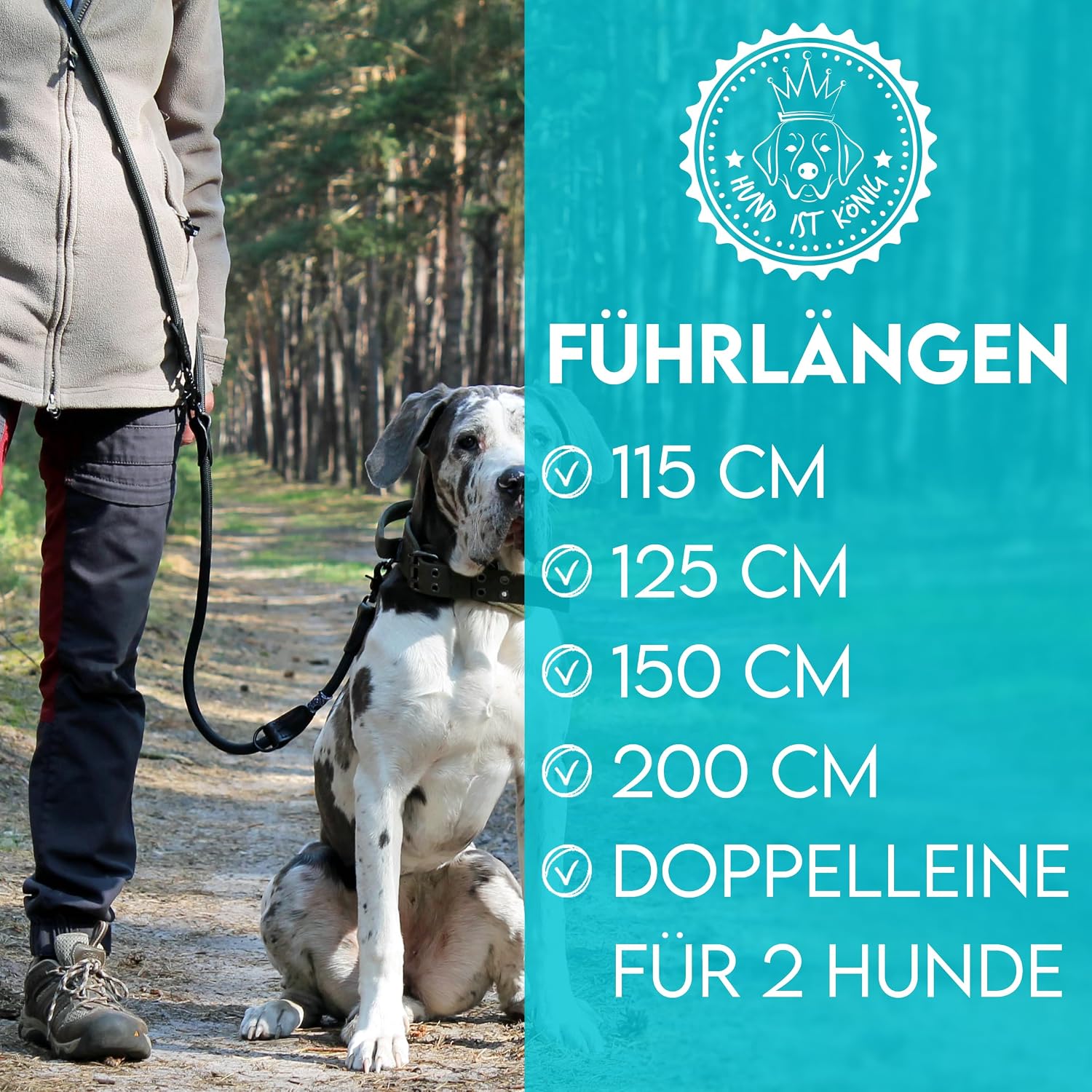 Detalle 2 de HUND IST KÖNIG Hundeleine 2,3 m 🐕