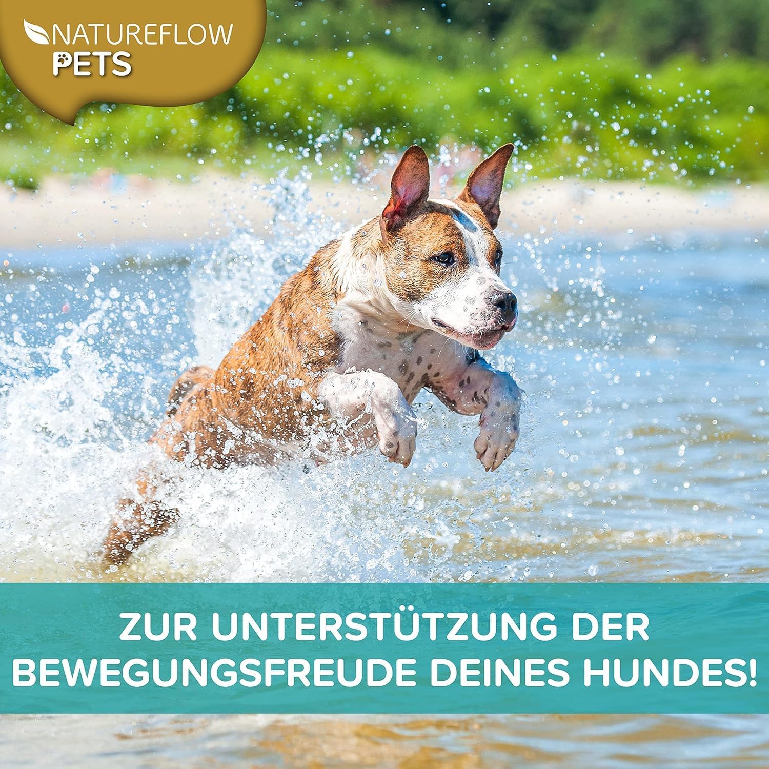Thumbnail 4 de Natureflow Grünlippmuschel Hund 250 g Pulver