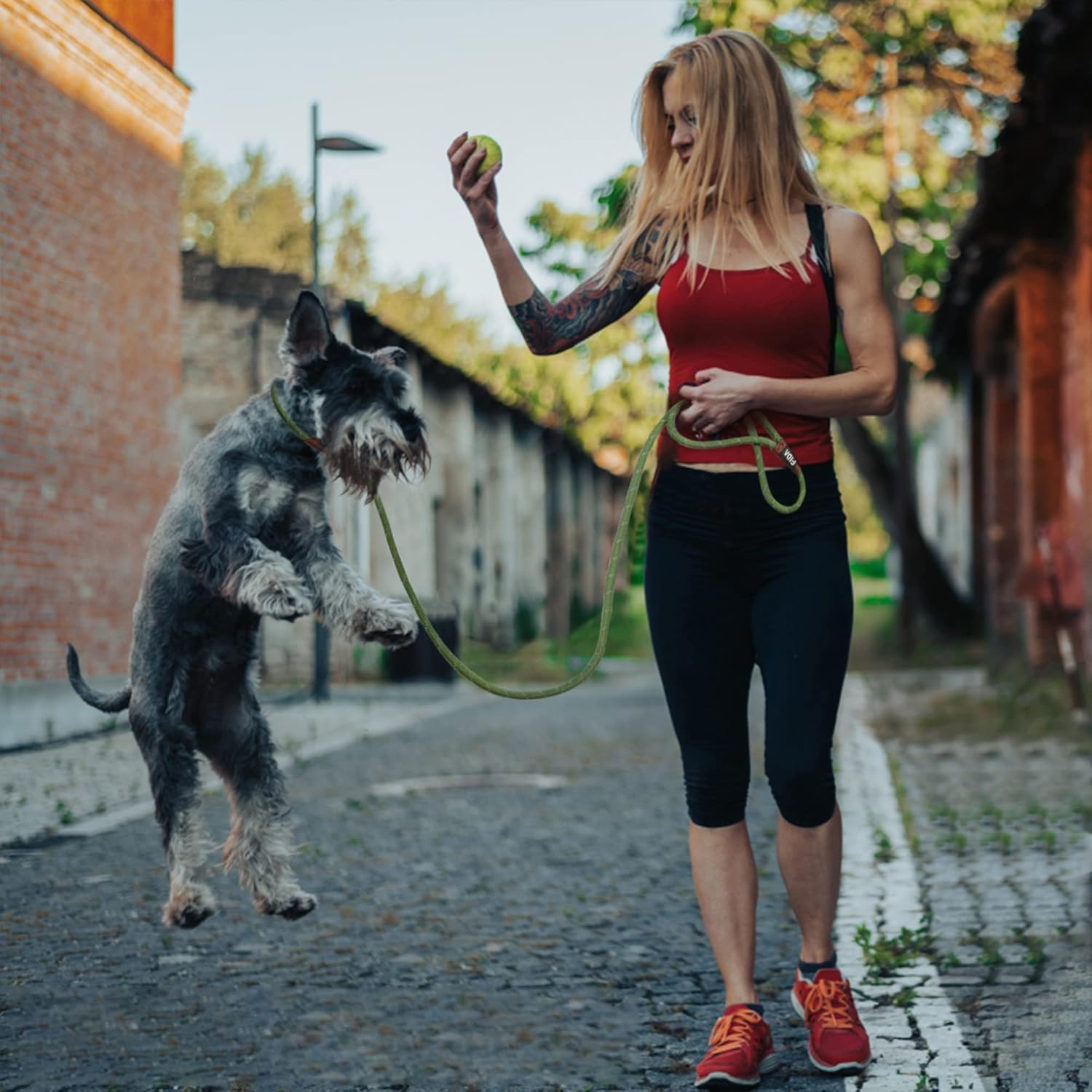 Thumbnail 6 de Fida Slip Rope Hundeleine (1,8 m) – Slip-On-Schleppleine mit reflektierenden Nähten