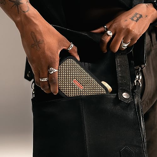 Detalle de Positive Grid Spark GO 5W Ultra-Portable Smart Guitar Amp & Speaker