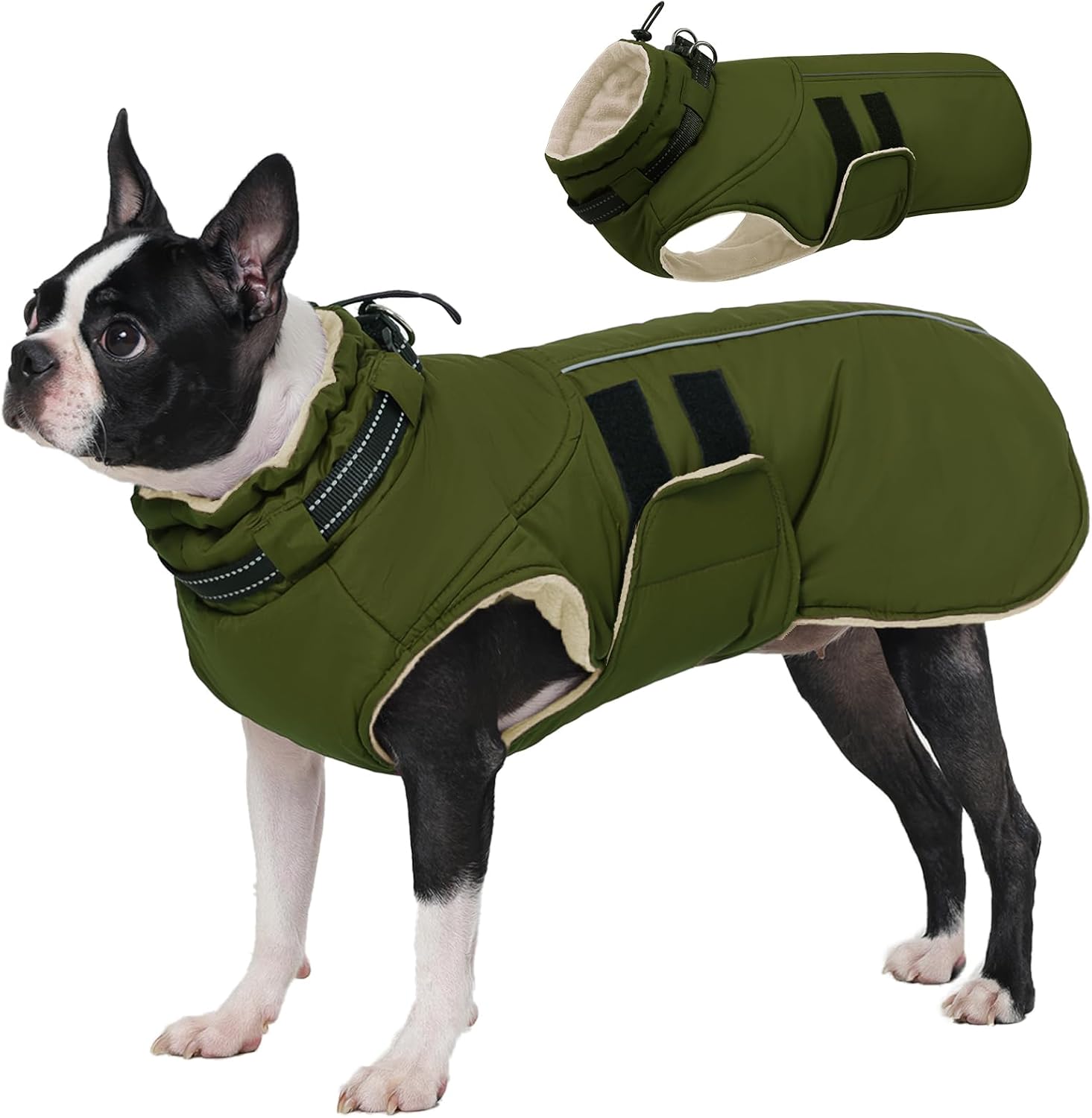 Detalle de IECOii Dog Coat, Size L