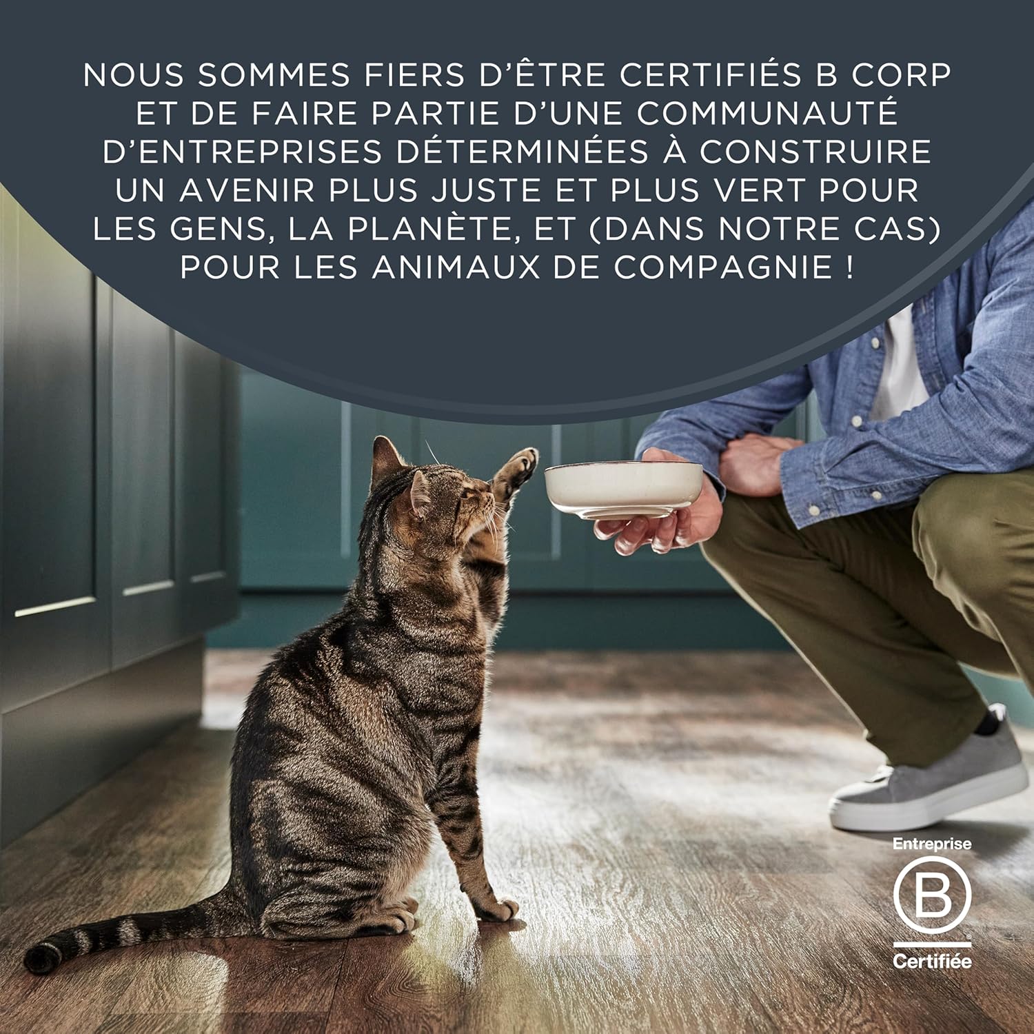 Thumbnail 6 de Encore Nourriture humide naturelle pour chats — thon et sélection de poissons, sachets de 50 g (20 sachets)