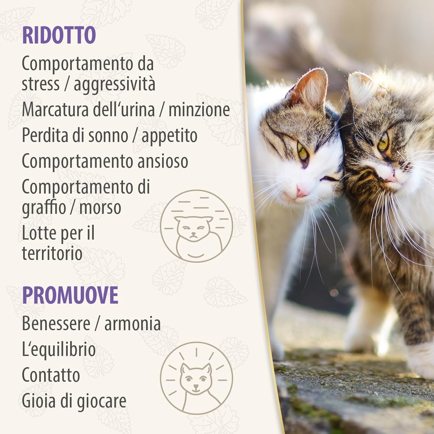 Thumbnail 6 de Felisept Family Comfort Ricarica 45 ml: calma naturale per famiglie di gatti