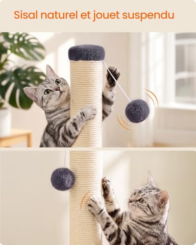 Detalle 1 de FEANDREA Griffoir pour chat en sisal naturel