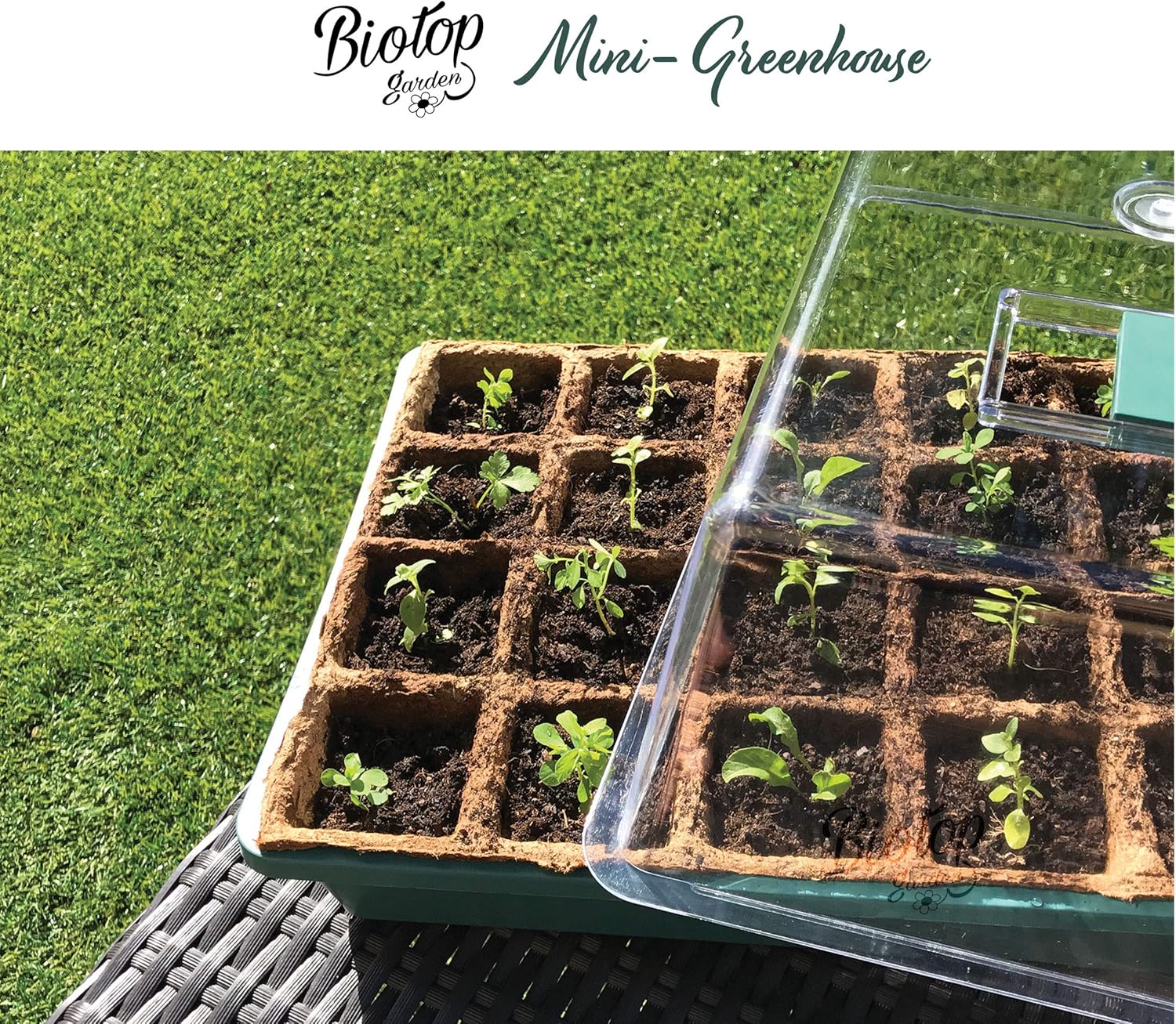 Thumbnail 5 de Boîte à germer Biotop B2015B vert 38 cm