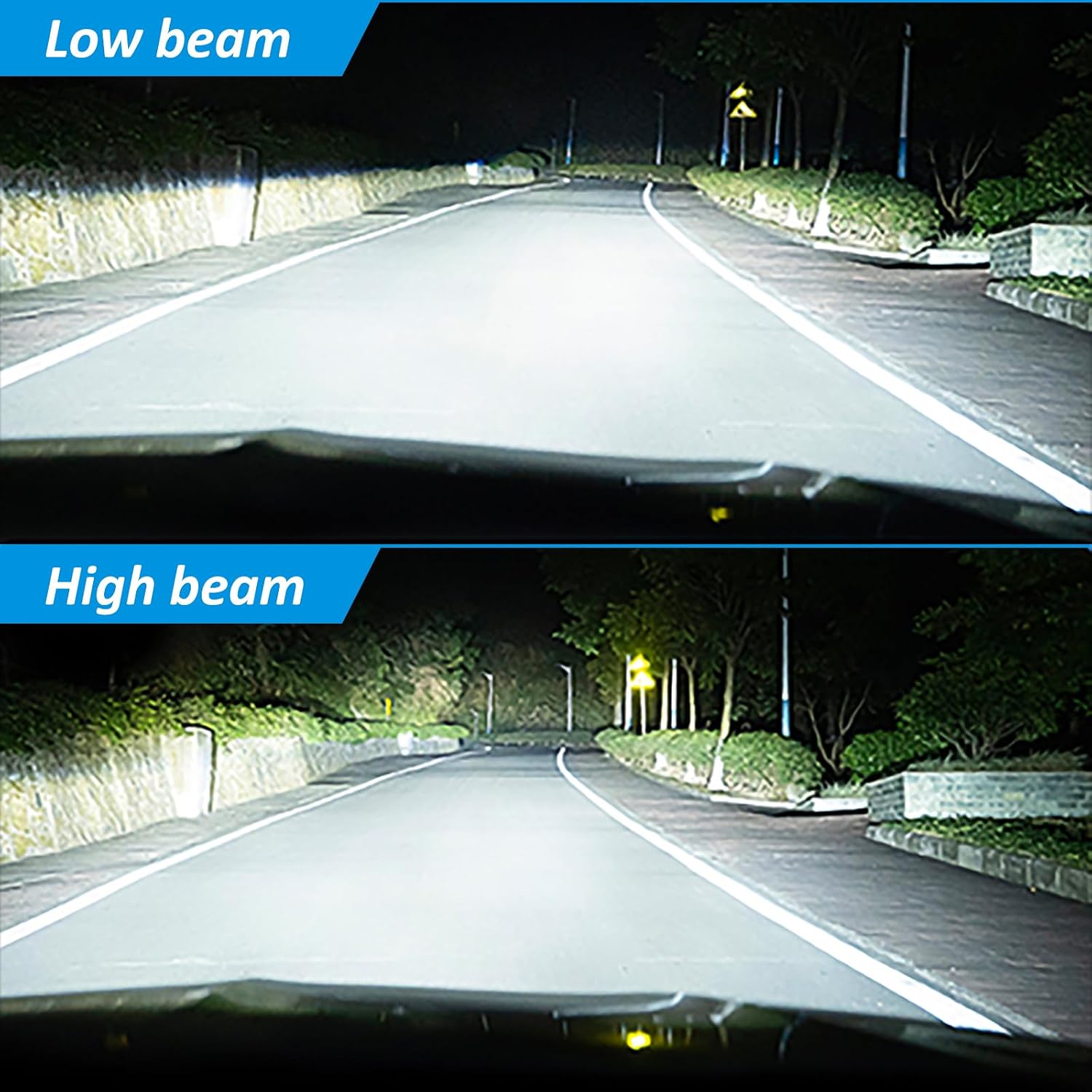 Thumbnail 6 de D-Lumina Lampadina H1 LED Canbus 100W 16.000 lm 6500K (2 pezzi) plug & play