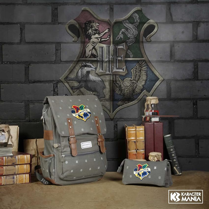 Detalle de Mochila Oxford Harry Potter Greyly, Gris, 16 L 🧙
