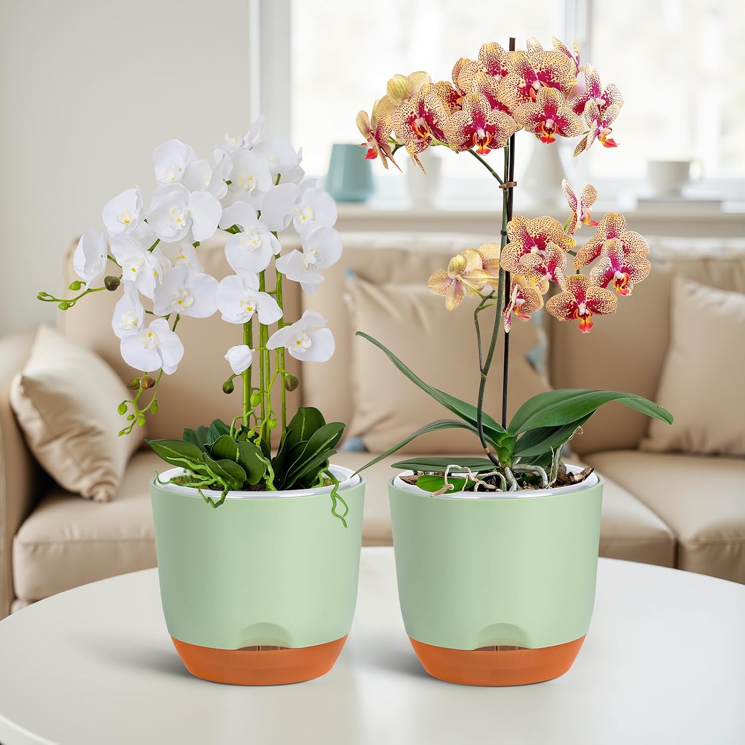 Detalle 2 de QCQHDU 2Pack 7.2In Large Self-Watering Orchid Pots with Detachable Reservoir