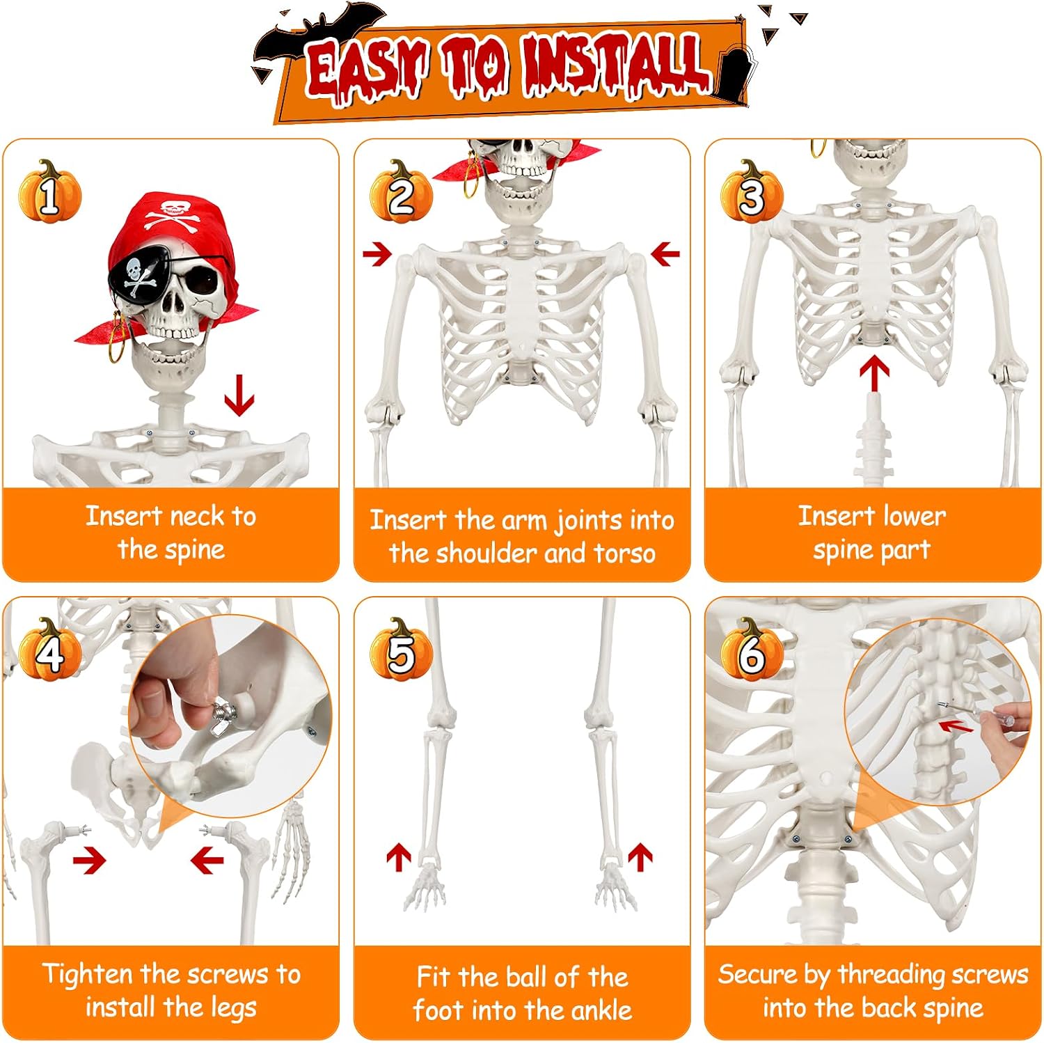 Thumbnail 6 de MyoGrip SK10 5.5-Foot Posable Halloween Skeleton with Pirate Details
