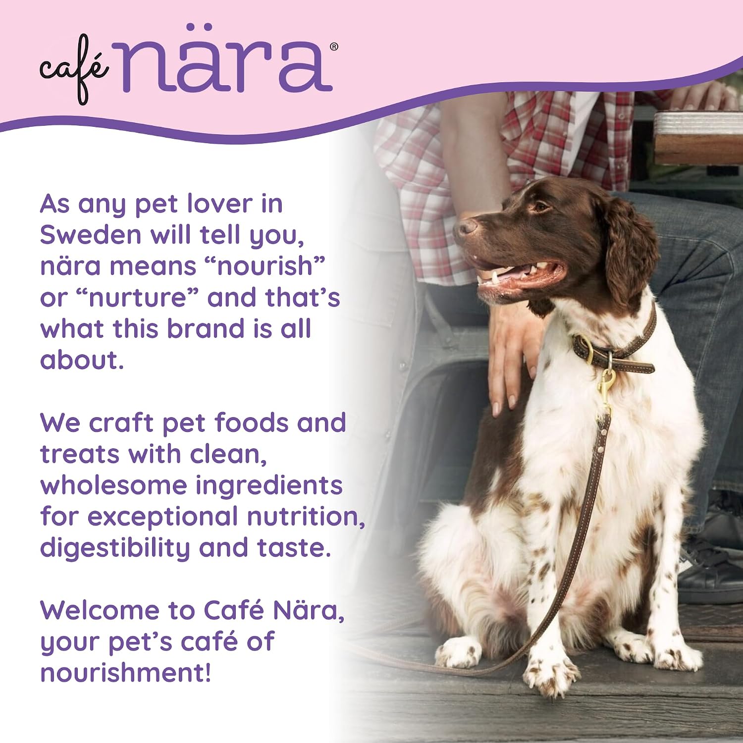 Detalle de Café Nara Air-Dried Dog Food, 1 lb