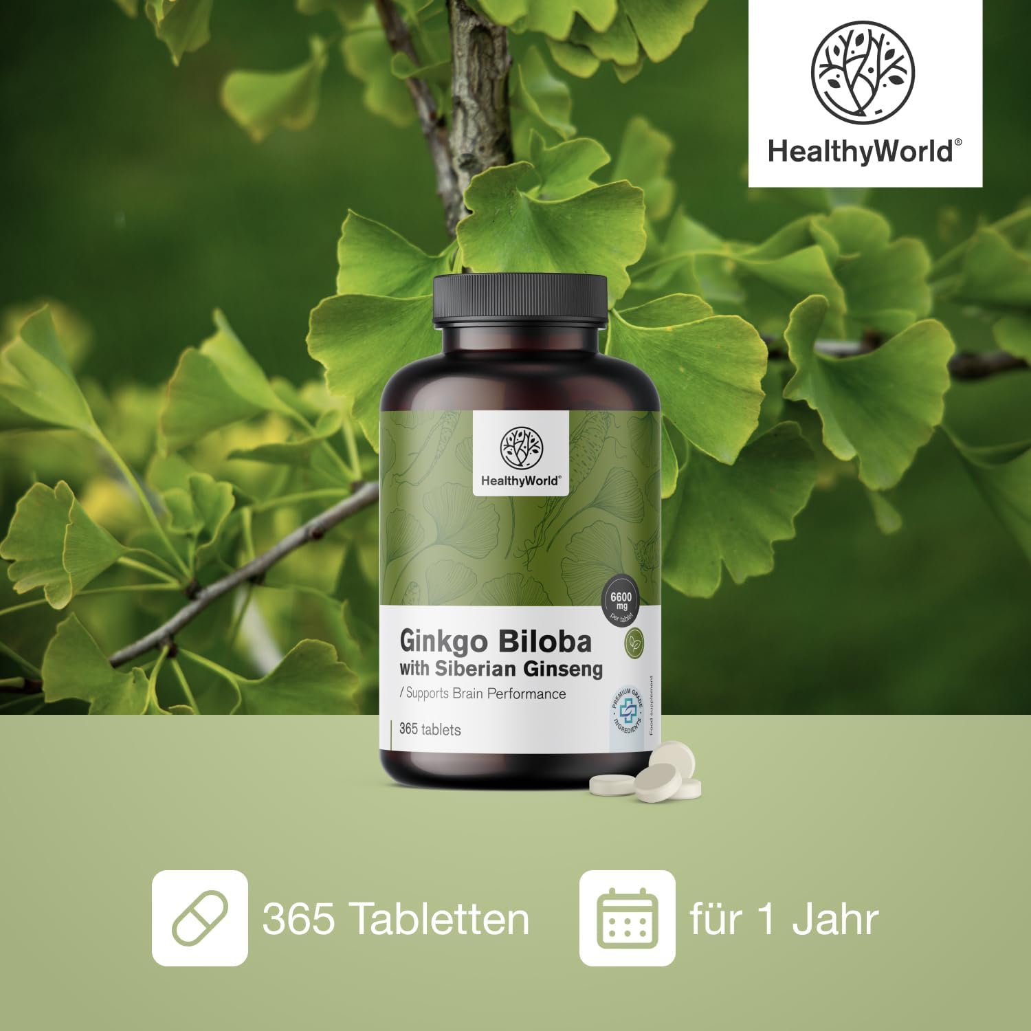 Detalle de HealthyWorld Ginkgo Biloba mit sibirischem Ginseng (6.600 mg) – 365 Tabletten für die tägliche kognitive Unterstützung