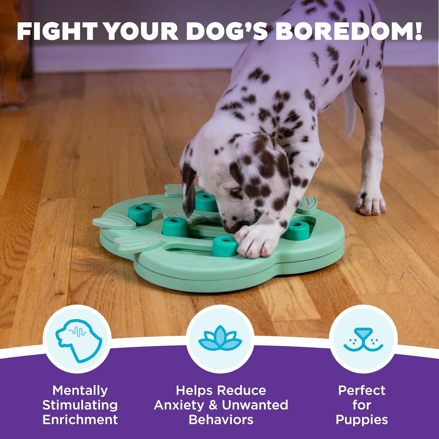 Thumbnail 1 de Outward Hound Puppy Hide N' Slide Puzzle Toy