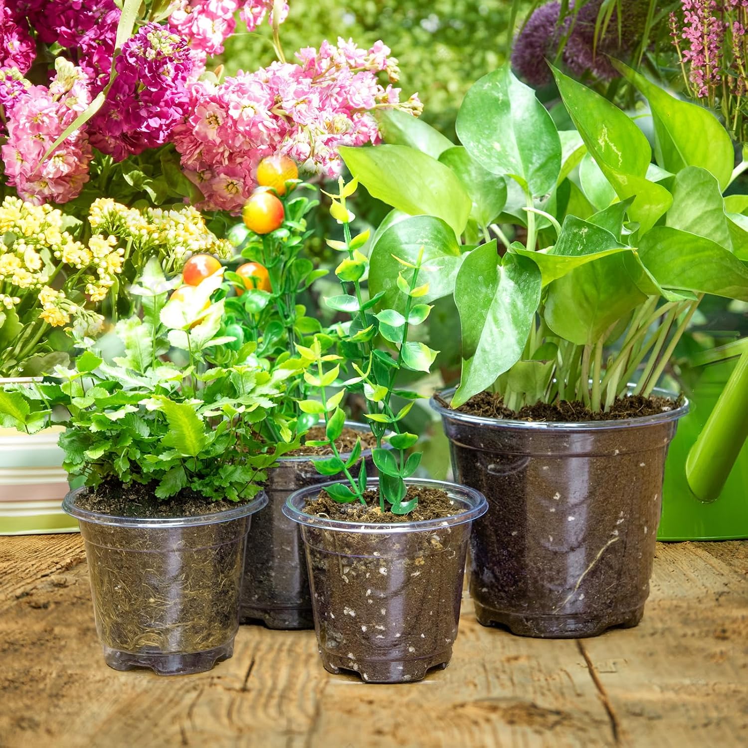 Detalle 2 de Mactoou Anzuchttöpfe Set 30 Stück für Orchideen