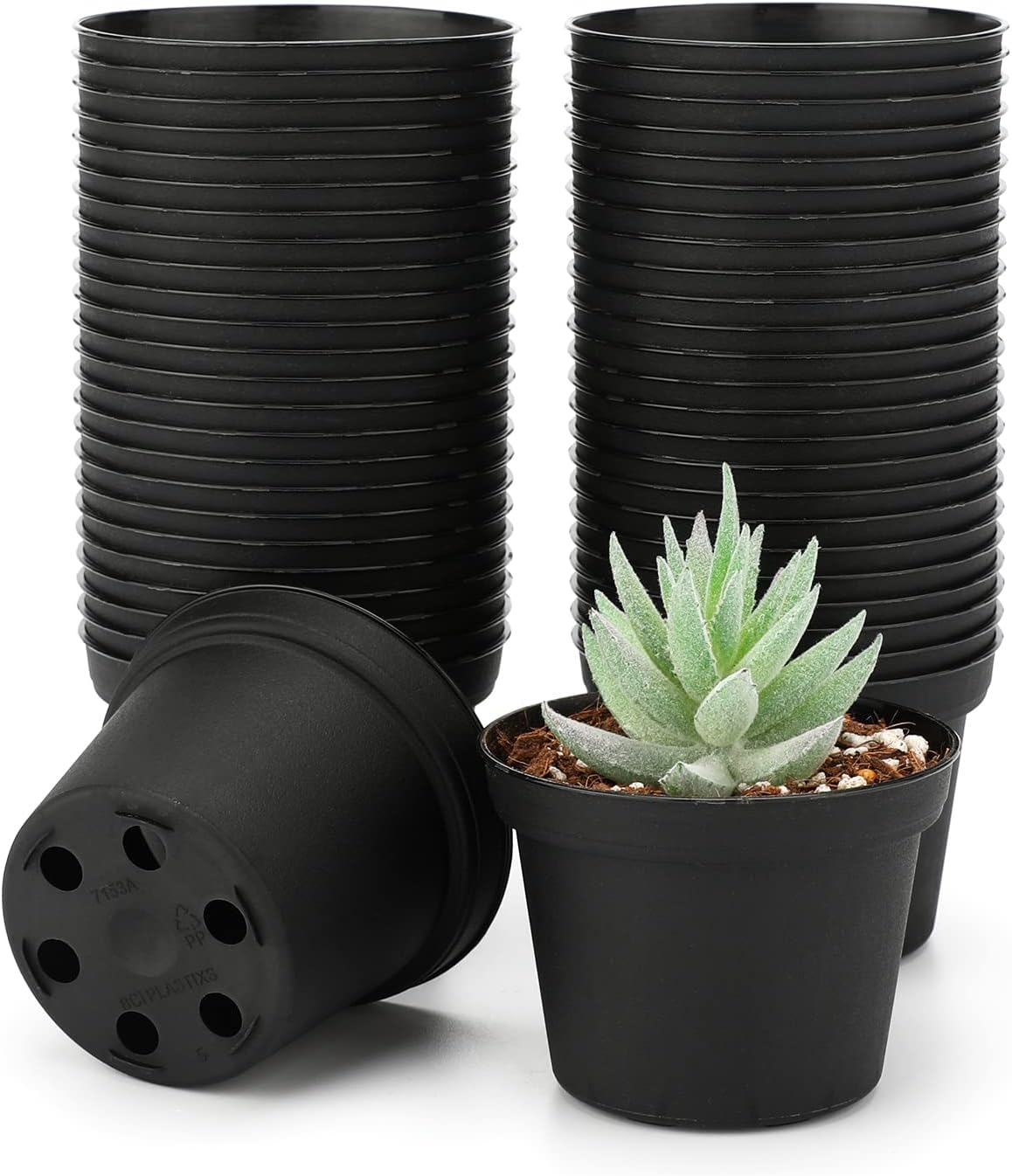 Thumbnail 6 de KINGLAKE Anzuchttöpfe 10 cm, 12 Stück – Kunststoff-Pltanzgefäße für Sämlinge mit Drainagelöchern