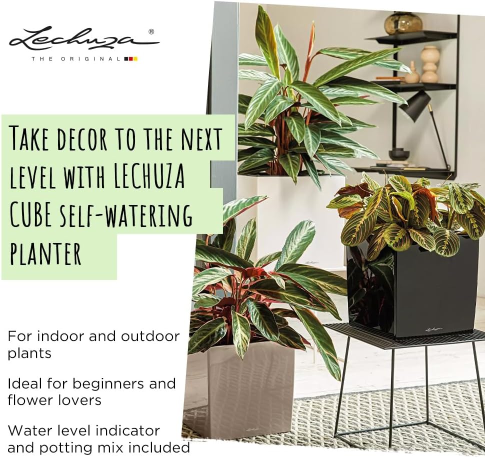 Thumbnail 1 de LECHUZA CUBE Premium 50 anthrazit metallic