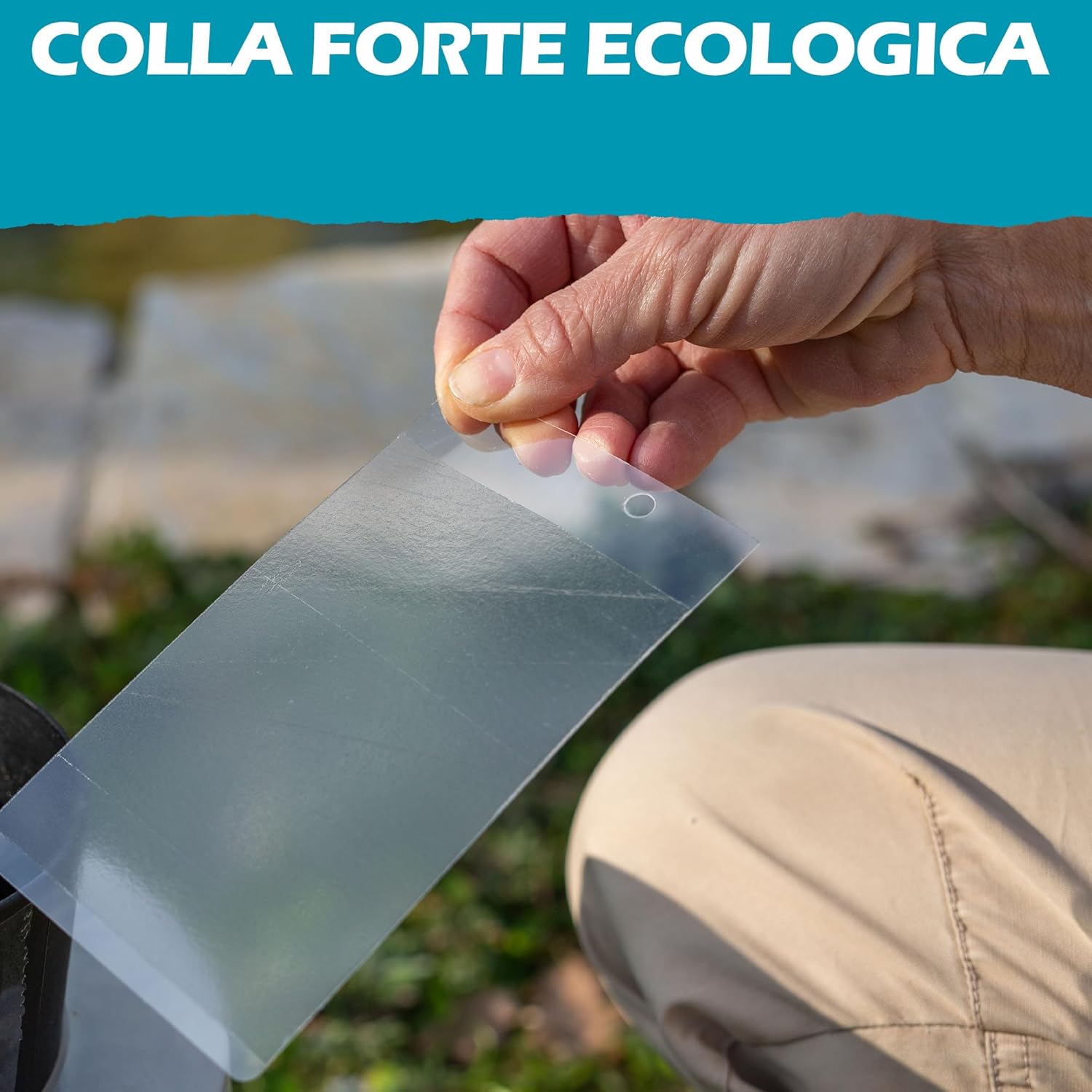 Thumbnail 4 de Mostiky: 30 fogli adesivi compatibili Biogents BG-GAT – cattura zanzare tigre prima della deposizione