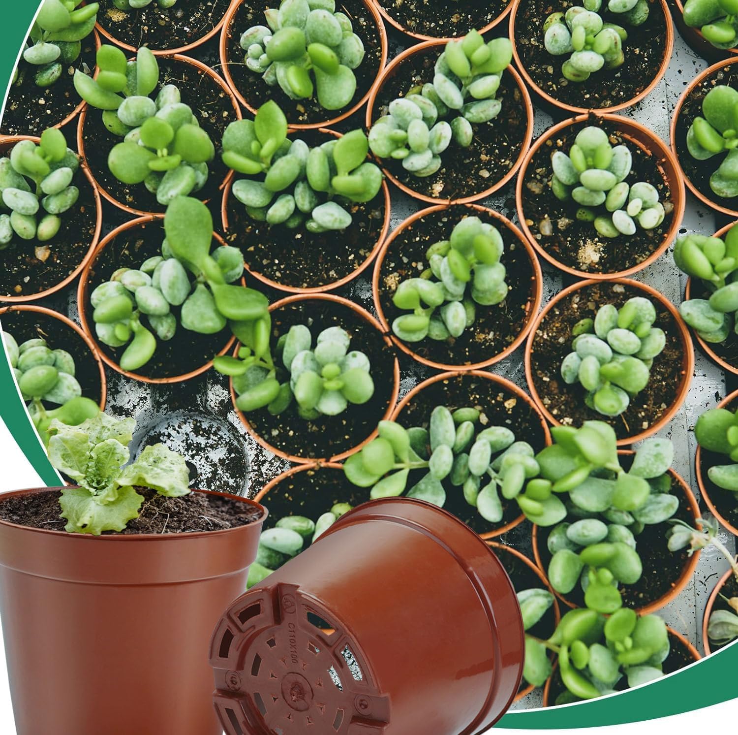 Detalle de Jordbrux nursery pots 8.5cm, 10 pack