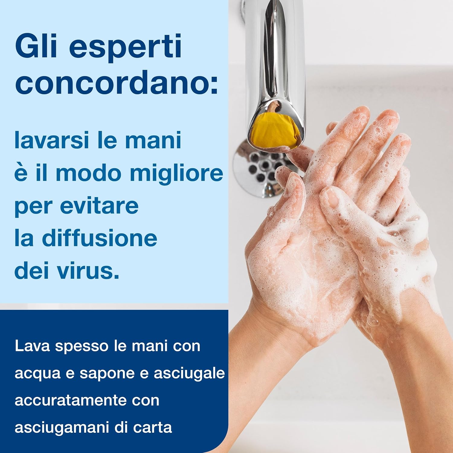 Thumbnail 4 de Tork 420501 Sapone liquido delicato 1000 ml