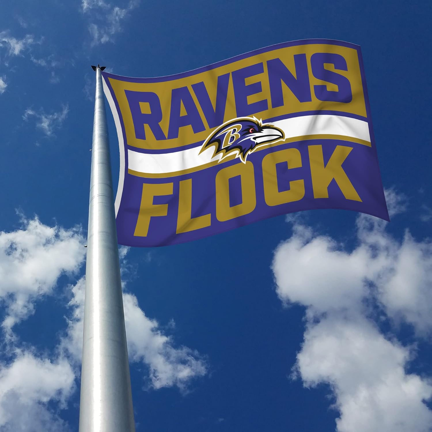 Detalle de Rico Industries Bold NFL Flag 3' x 5' ๐