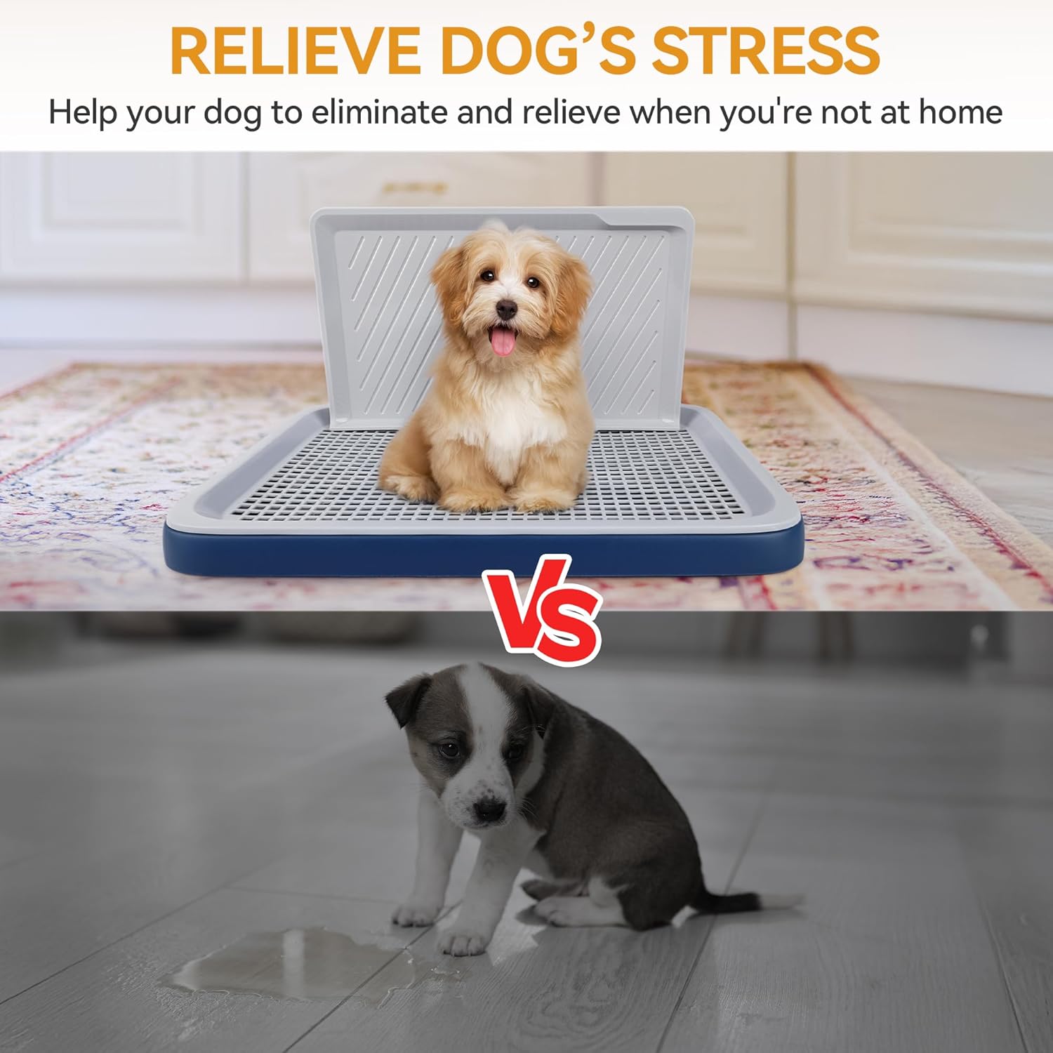 Detalle de Pawise dog potty training tray 50 x 39 cm
