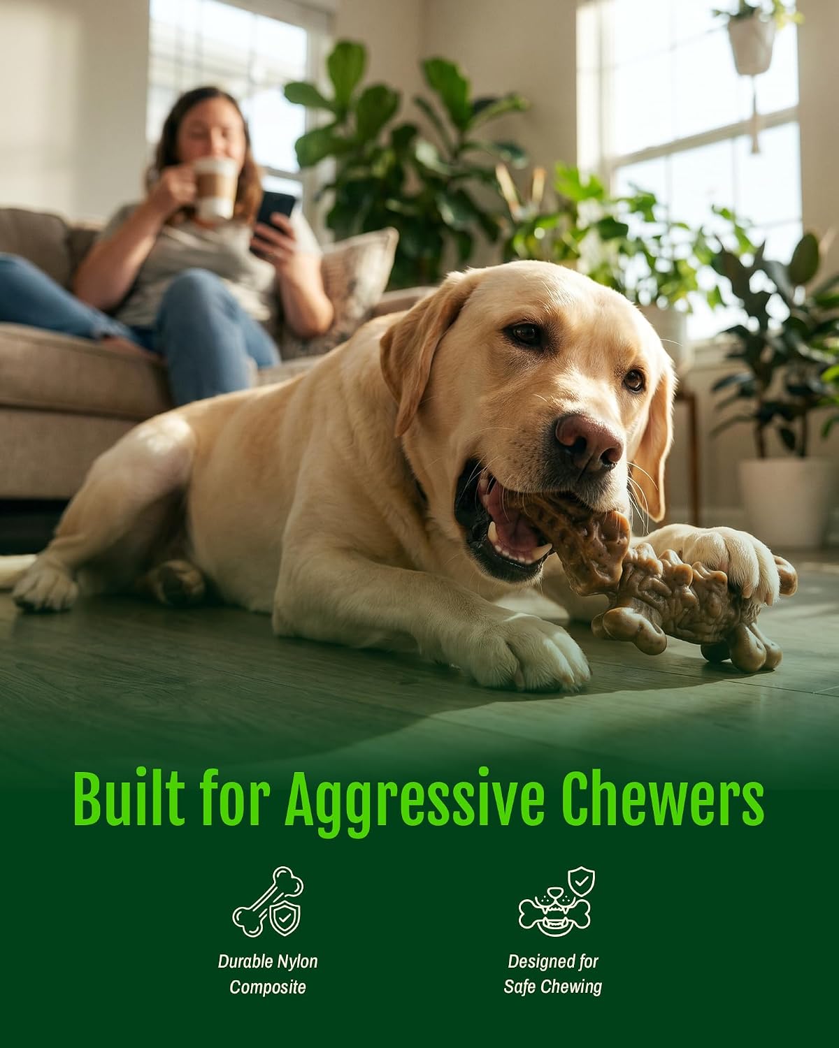 Thumbnail 1 de ChienBox Dog Chew Toys, Nylon