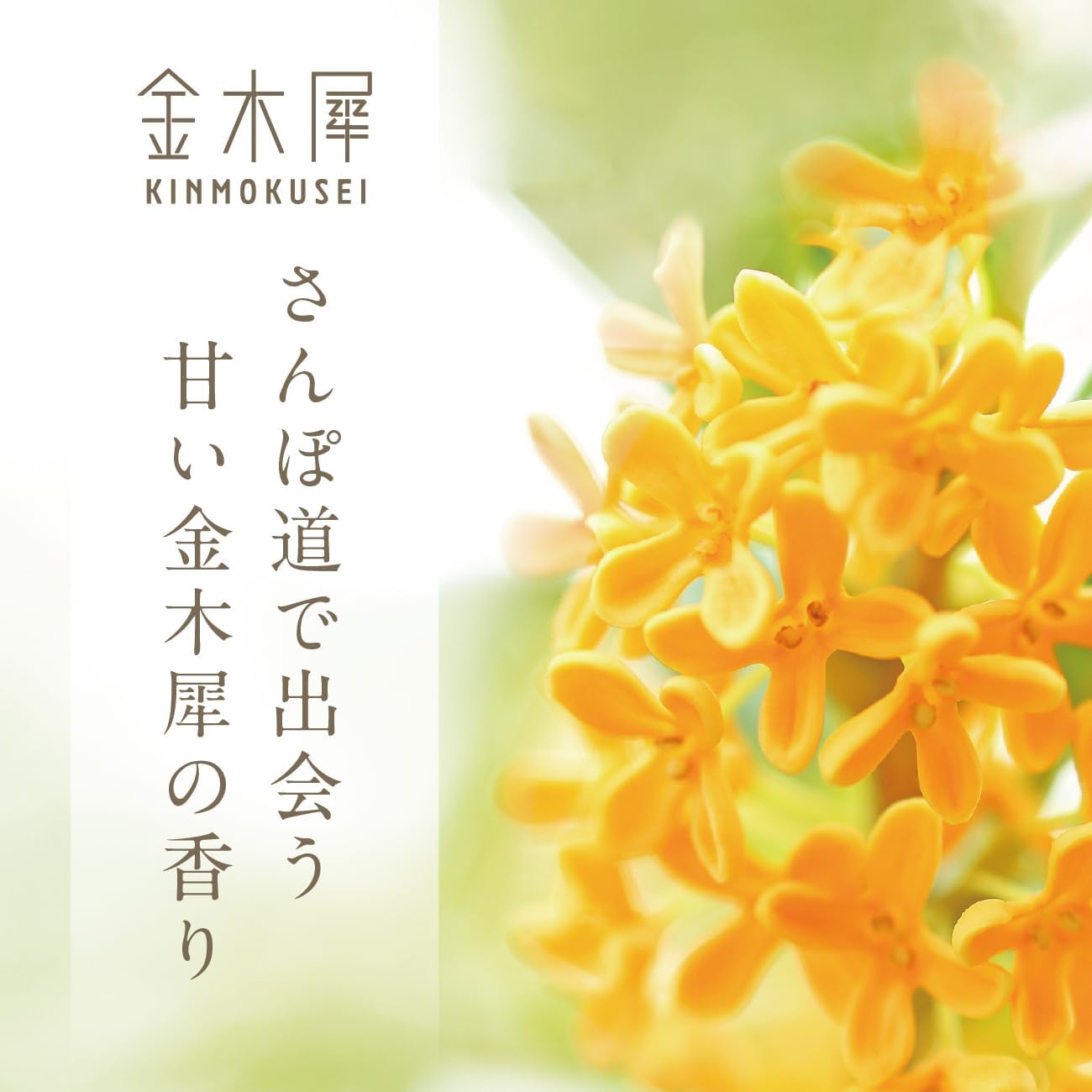 Detalle 2 de ゆるりと 金木犀 バス&ボディーケアセット ボディークリーム100mL・フレグランスソープ95g