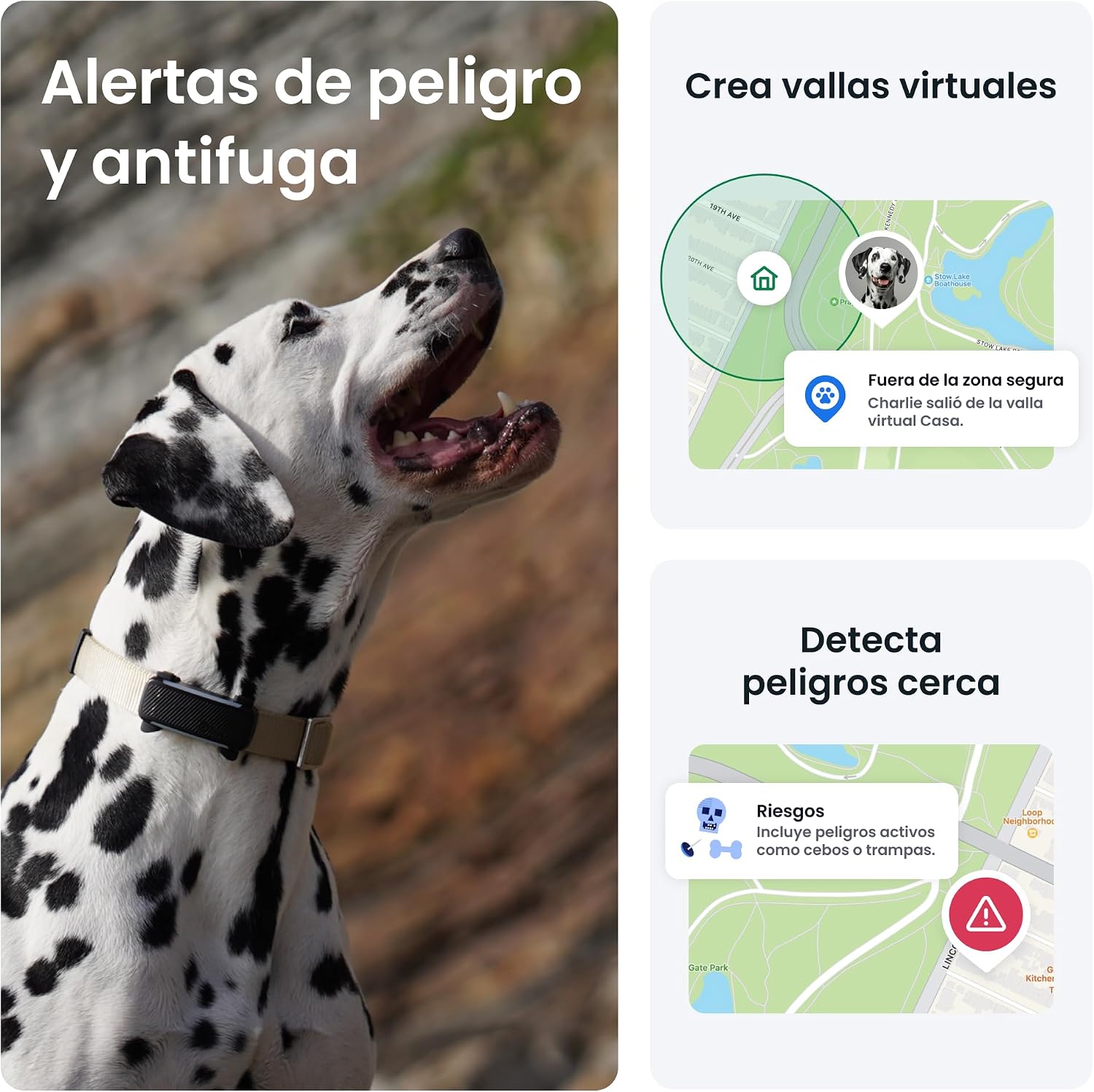 Thumbnail 3 de Tractive GPS perros 2025 Edición