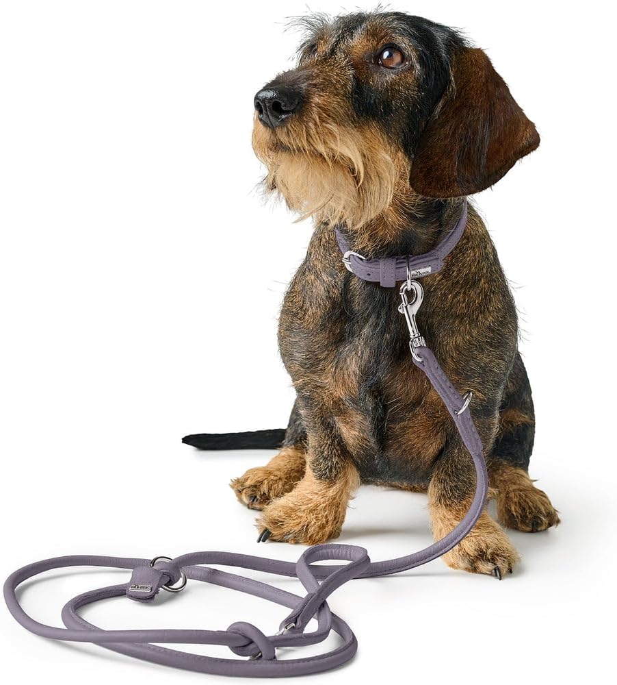 Thumbnail 6 de Hunter Hundehalsband SOHO MINI Flieder-Grau – Leichtes, fellschonendes Rindsleder für kleine Hunde