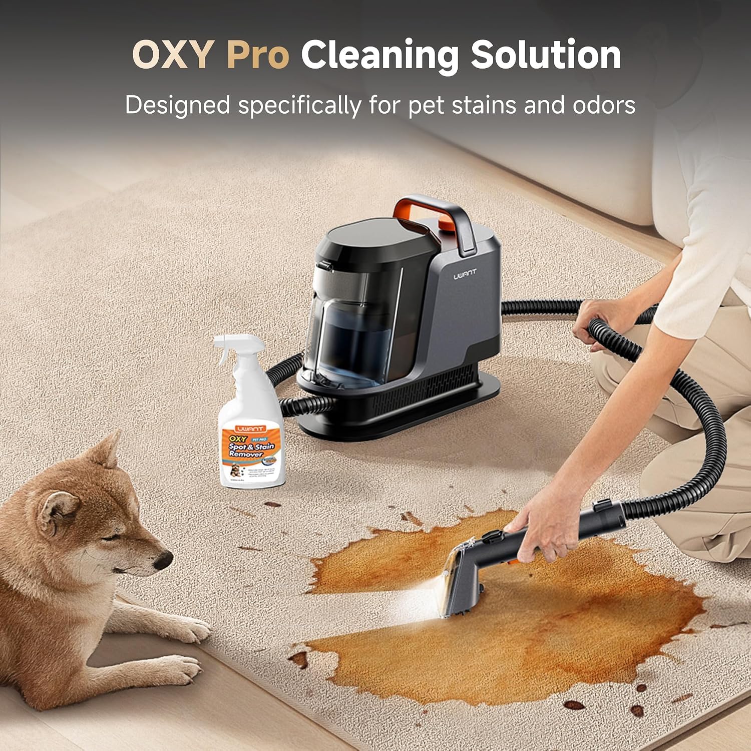Detalle de uwant Y100STEAM Carpet Cleaner with Steam, Hot Water and 18KPa Suction