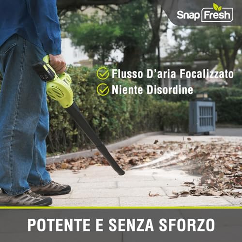Detalle de SnapFresh Soffiatore a Batteria 20V: leggero, potente e versatile