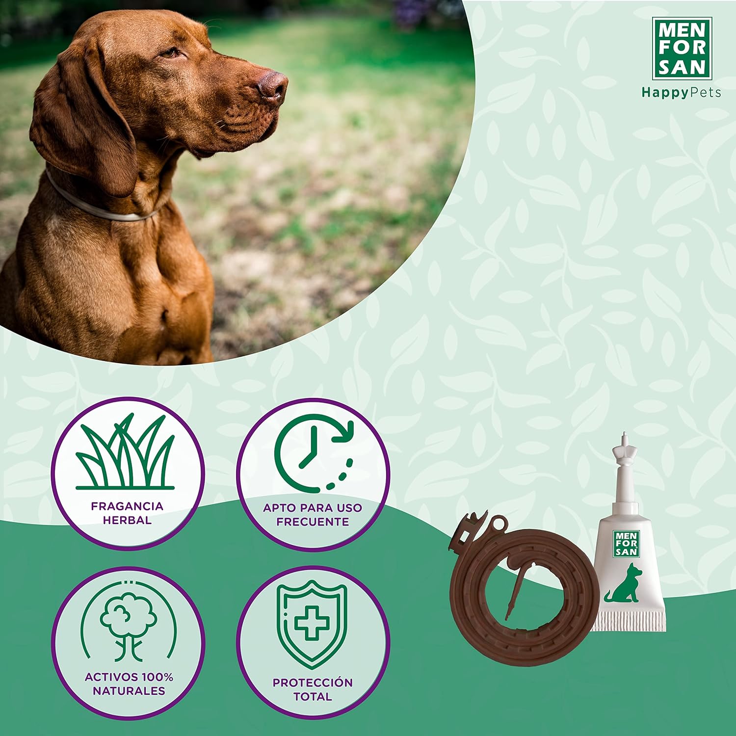 Thumbnail 1 de MENFORSAN Pack Mix collares y pipetas para perros, 2 collares