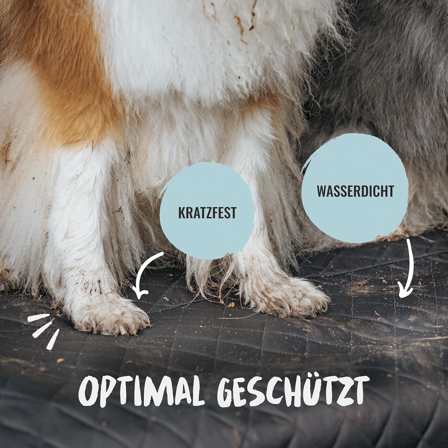 Thumbnail 4 de Rudelkönig Kofferraumschutz Hund – universelle Schutzmatte für Hunde