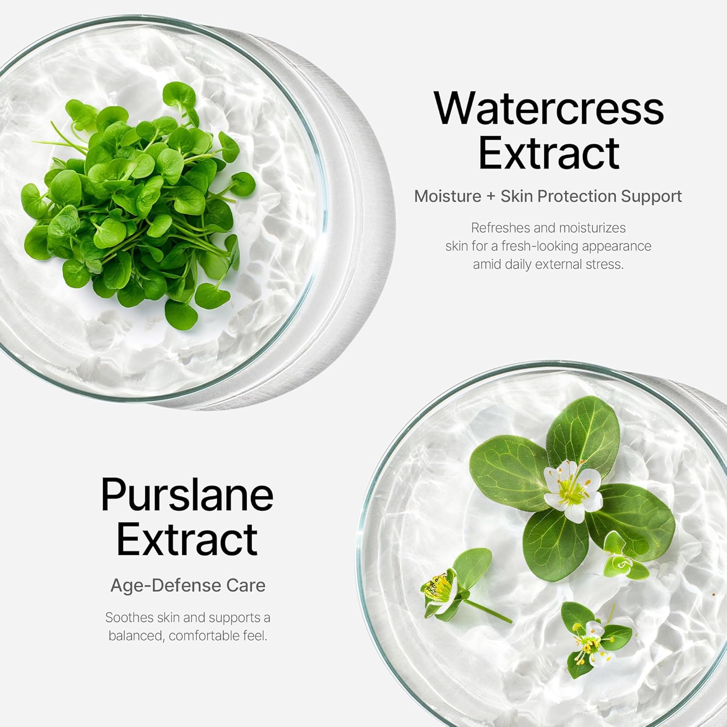 Thumbnail 6 de KAHI Airy Fit Sun Stick S SPF 50+ Triple-Functional Face Sunscreen Stick (Broad Spectrum)