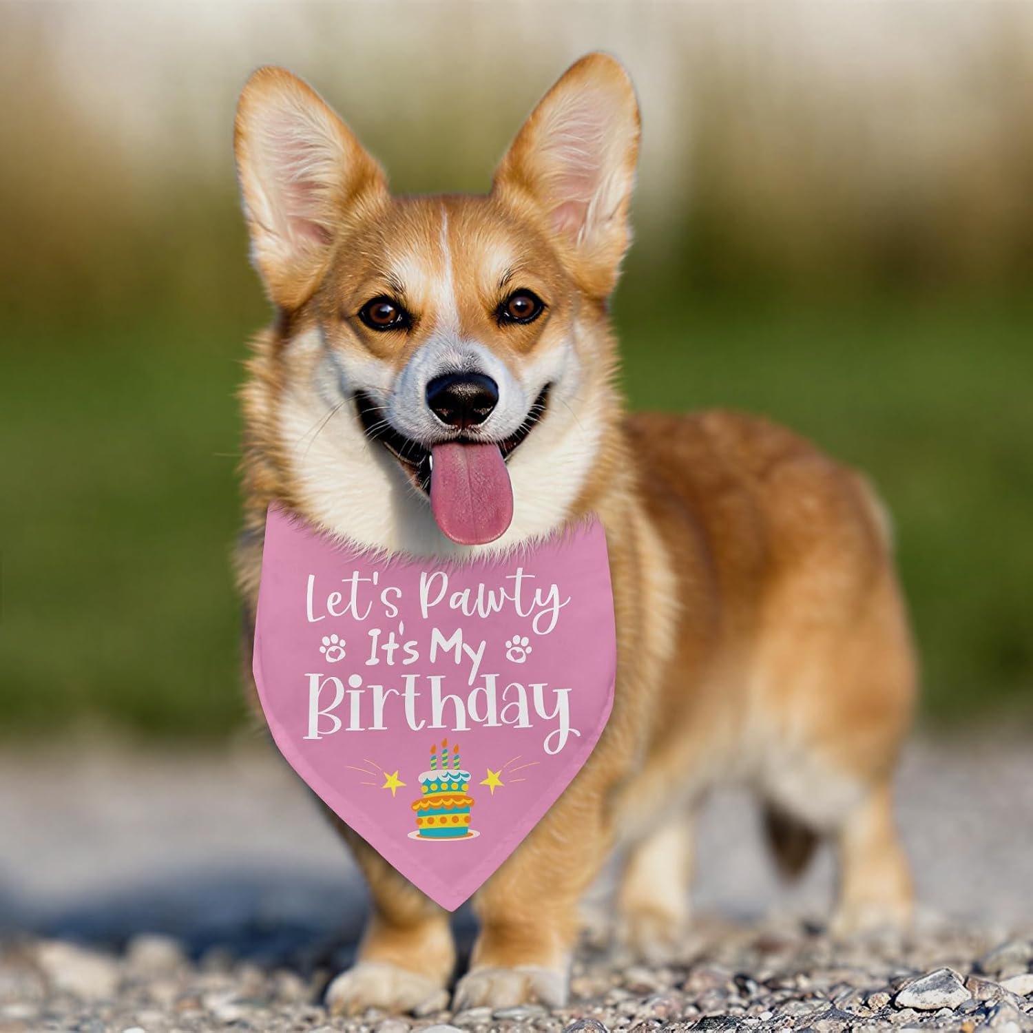 Detalle de Birthday Dog Bandana, Adjustable