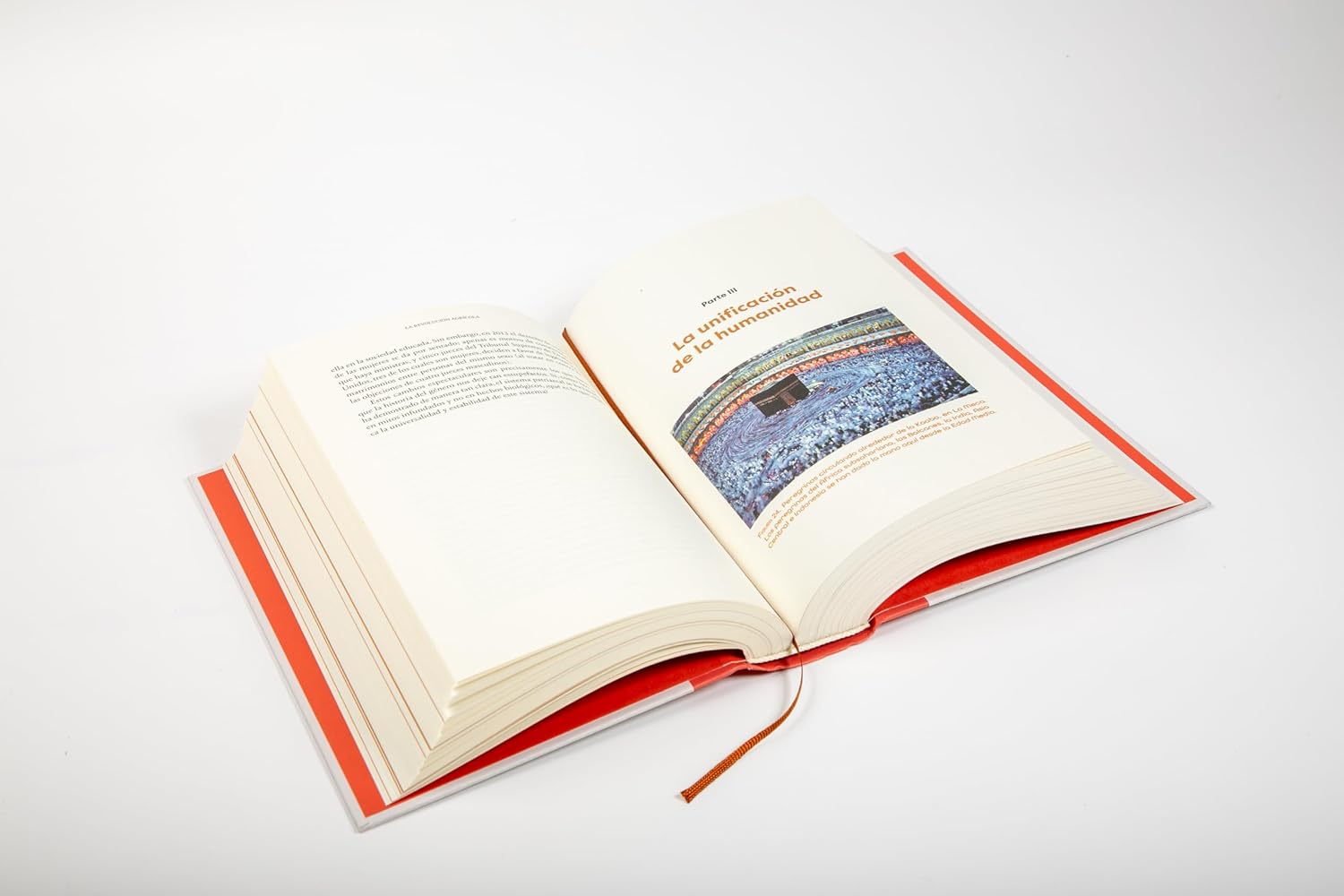 Detalle 2 de Sapiens: A Brief History of Humankind, 10th Anniversary Special Edition