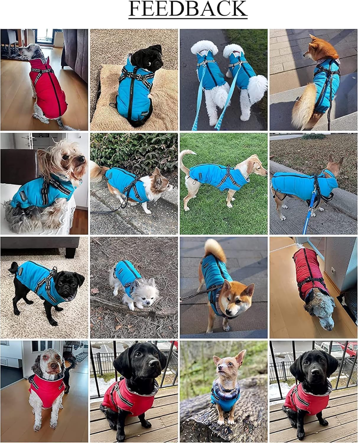 Thumbnail 4 de babepet Warm Pet Dog Coats with Harness – Waterproof Green Small Dog Jacket Coat (with Chest Strap, Zip Up) – XL
