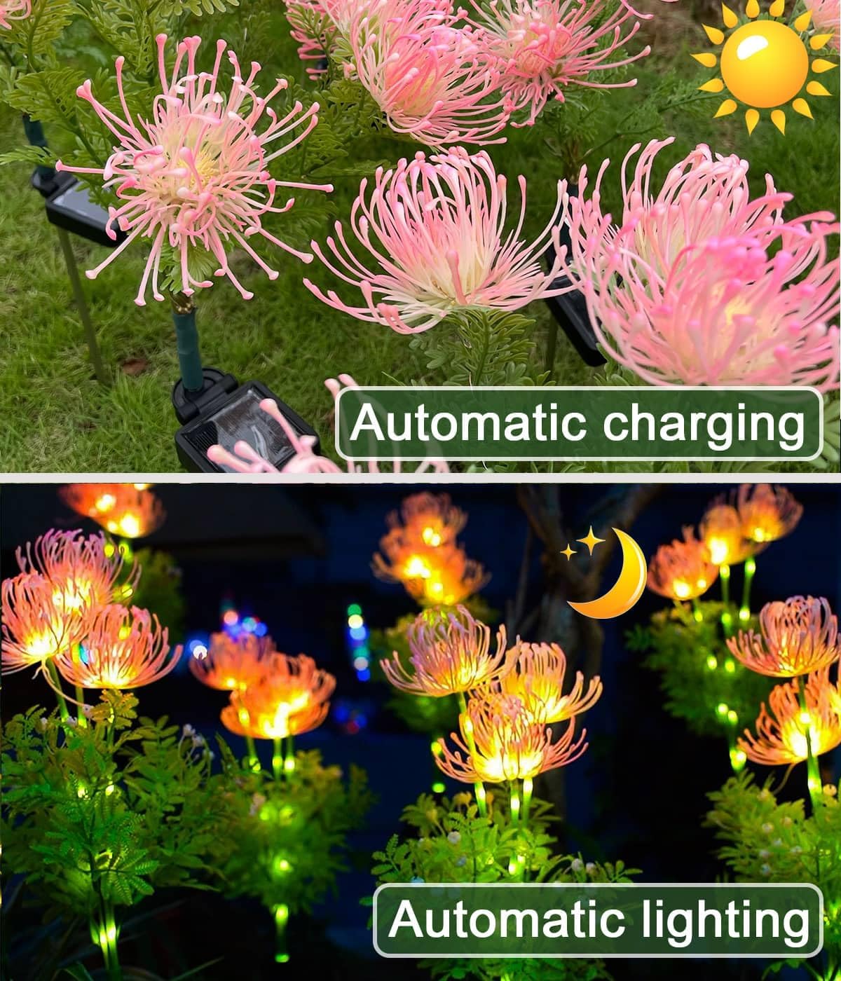 Thumbnail 1 de Joysing: luci solari a forma di fiore per giardino all'aperto, confezione da 2 – LED floreali impermeabili