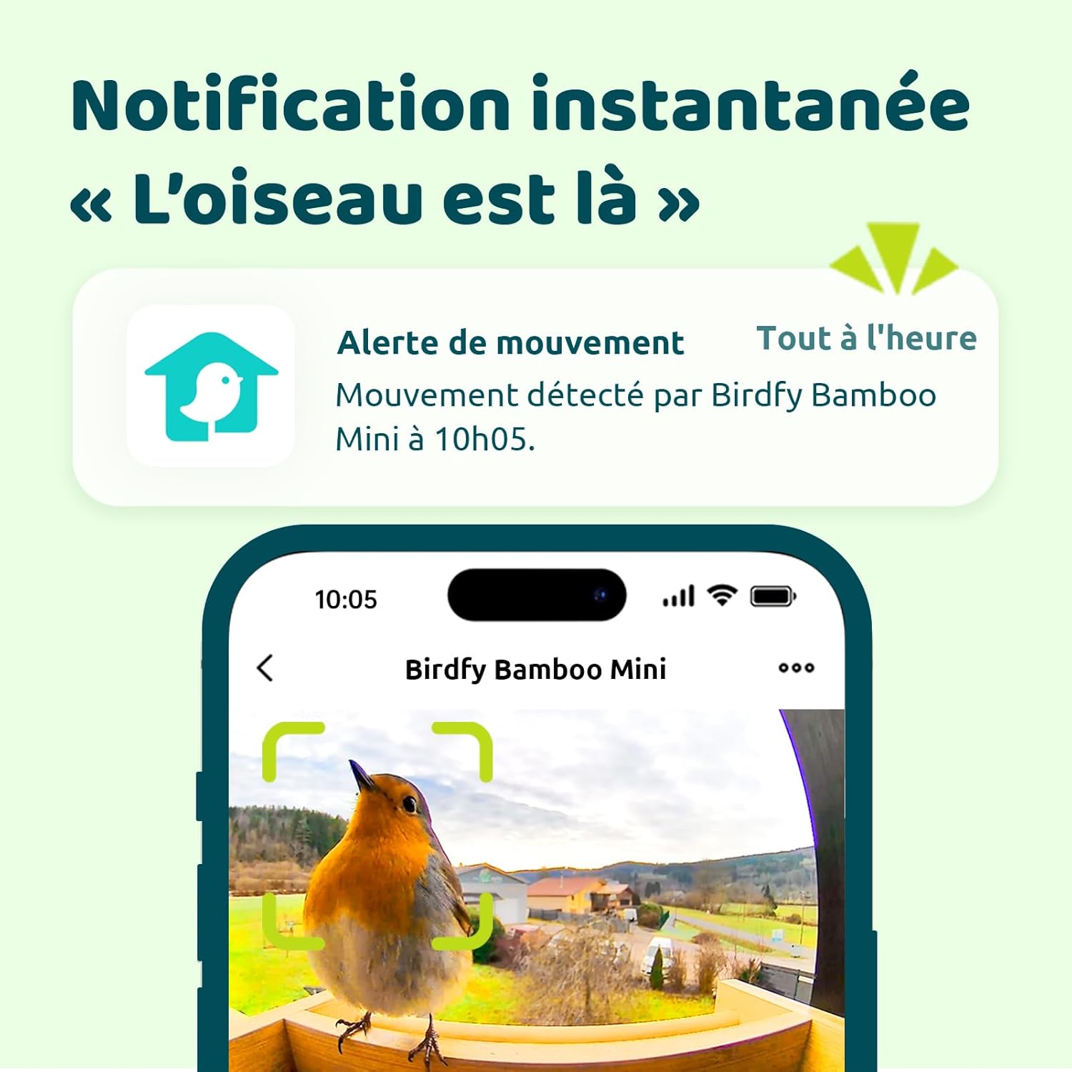 Detalle 2 de Netvue by Birdfy Mangeoire oiseaux 1,9 L
